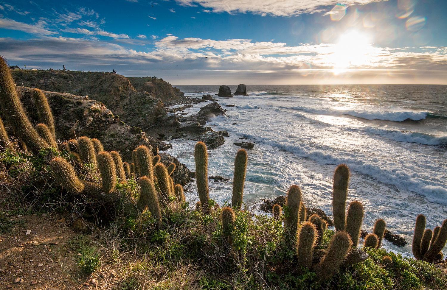 Hotel Alaia Pichilemu Buitenkant foto