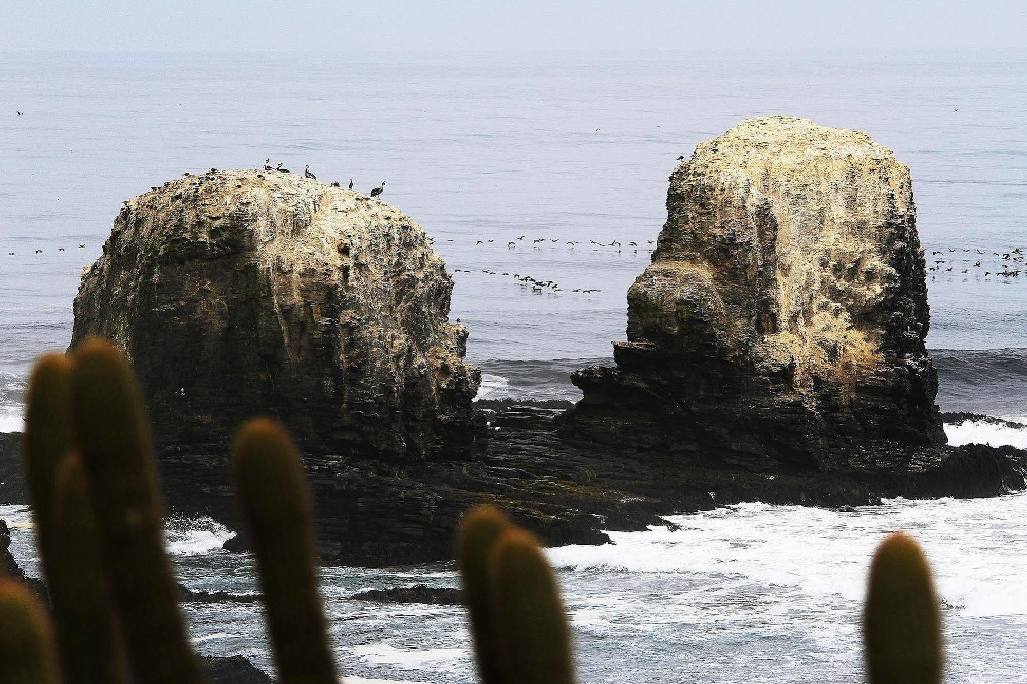 Hotel Alaia Pichilemu Buitenkant foto